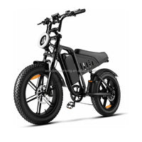 14 Inch Fat Tire Electric Bike 48V 500W Snow Beach Adult Ebike