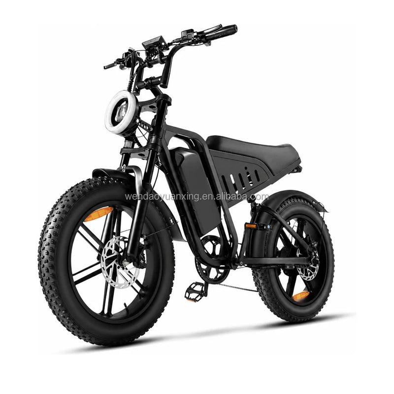 14 Inch Fat Tire Electric Bike 48V 500W Snow Beach Adult Ebike