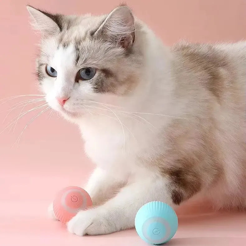 HKM-833171 Automatic Rolling Cat Ball Interactive Toy for Indoor Kittens with Smart Features and Rechargeable Battery