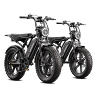 20inch EU Fat Tire Bike Electric Off-Road Fat Tire E-Bike with Best Price and Seater 48v Battery Steel Frame 250W