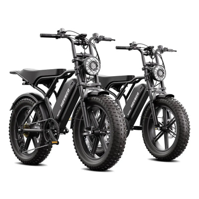 20inch EU Fat Tire Bike Electric Off-Road Fat Tire E-Bike with Best Price and Seater 48v Battery Steel Frame 250W