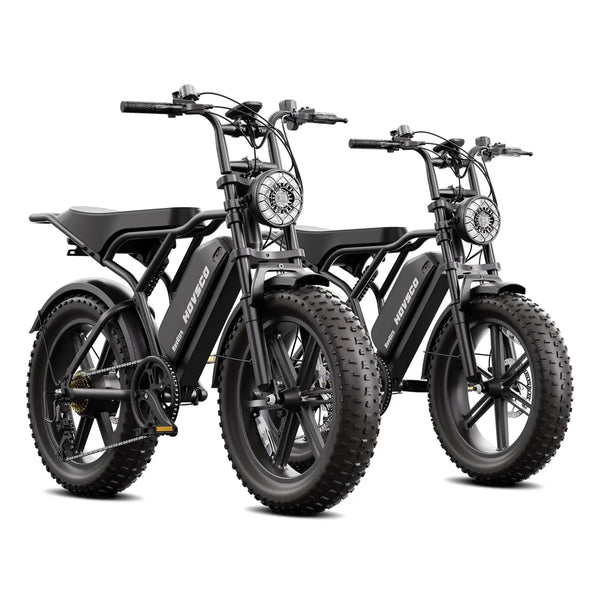 20inch EU Fat Tire Bike Electric Off-Road Fat Tire E-Bike with Best Price and Seater 48v Battery Steel Frame 250W