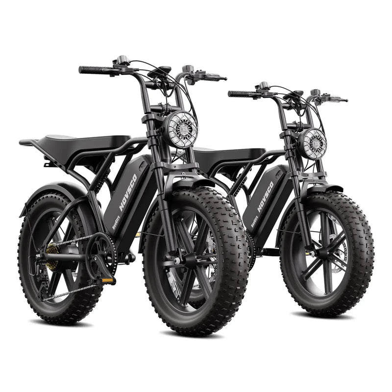 20inch EU Fat Tire Bike Electric Off-Road Fat Tire E-Bike with Best Price and Seater 48v Battery Steel Frame 250W