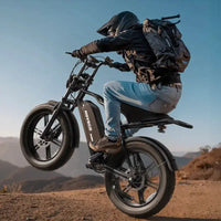 20inch EU Fat Tire Bike Electric Off-Road Fat Tire E-Bike with Best Price and Seater 48v Battery Steel Frame 250W
