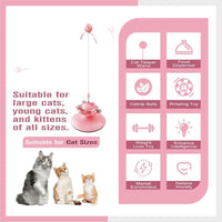 HKM-360595 Interactive Cat Teaser Wand with Suction Cup Scratcher - Spring Toy for Cats