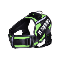HKM-048403 Reflective Nylon Dog Leash with Chest Harness Compatibility - Breathable and Stylish in Multiple Colors