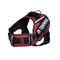 HKM-048403 Reflective Nylon Dog Leash with Chest Harness Compatibility - Breathable and Stylish in Multiple Colors