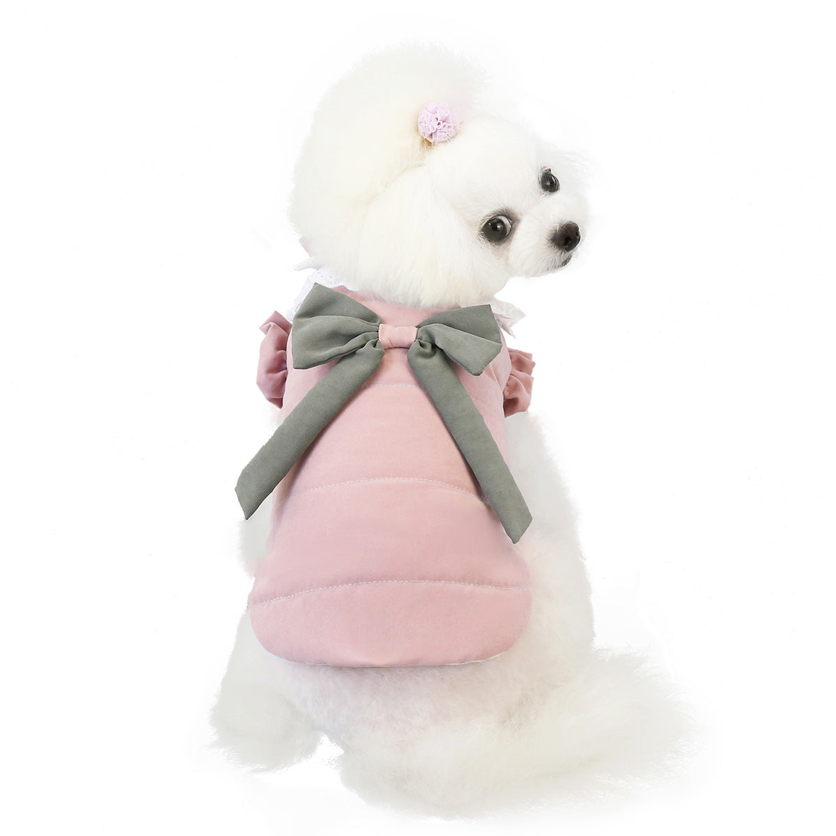 HKM-037907 Lace Collar Vest for Pets - Casual Cotton Two-Legged Clothing in Purple and Pink, Multiple Sizes Available