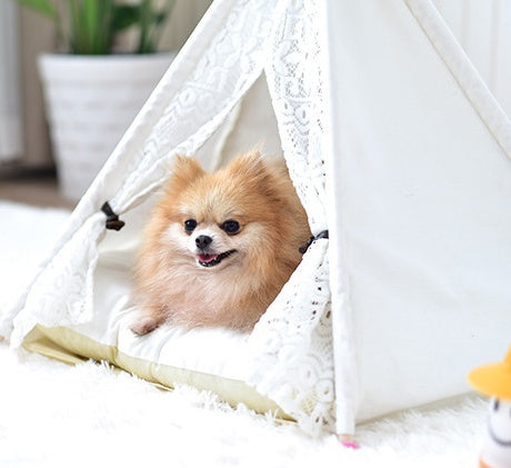HKM-482579 Small Spotted Tent Cat Kennel - Pet Nest in Various Sizes with Soft Lining Options