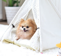 HKM-482579 Small Spotted Tent Cat Kennel - Pet Nest in Various Sizes with Soft Lining Options