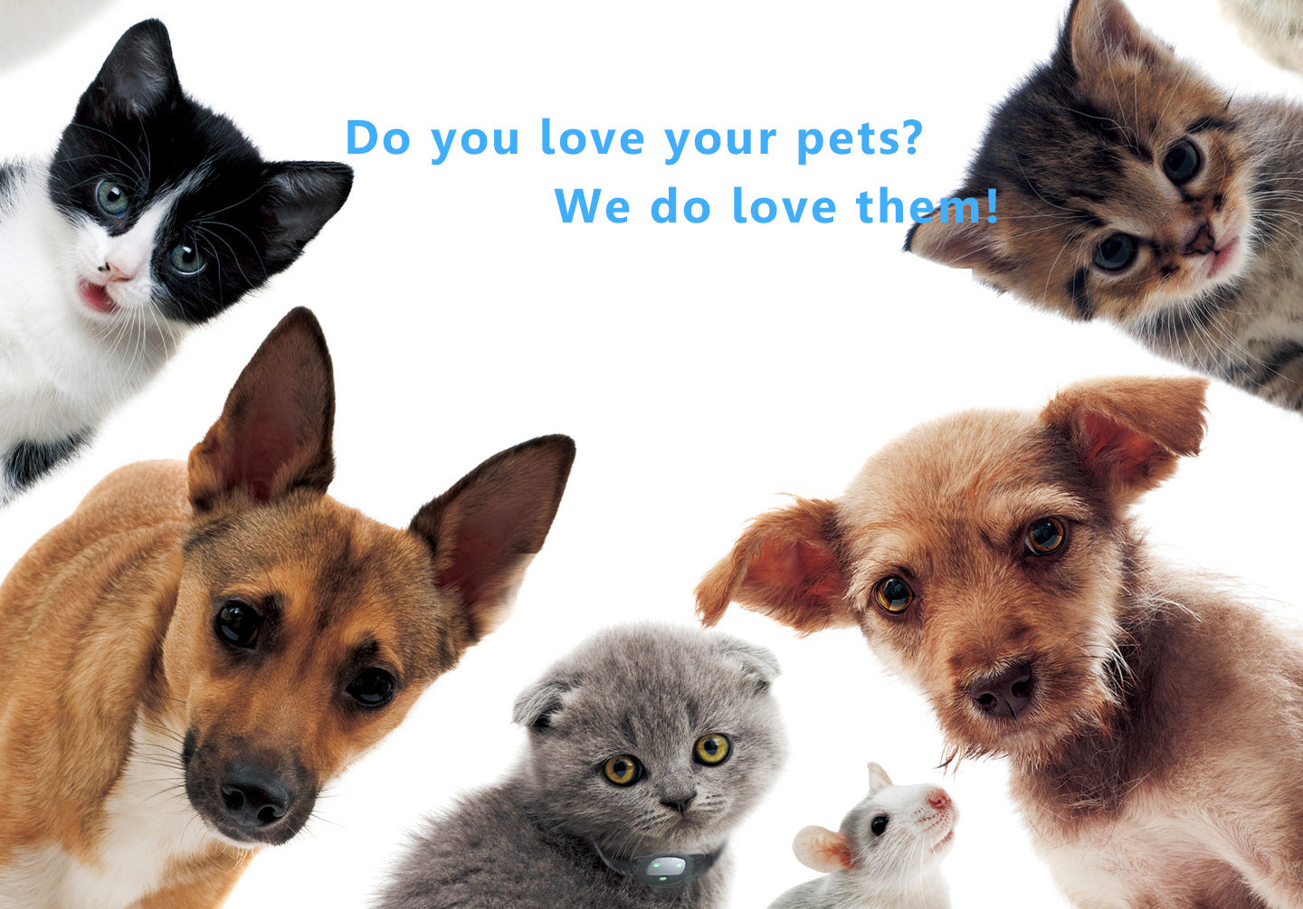 JMT-006218 Mini ABS Pet Collar with Multifunctional Locator Function