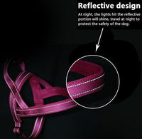 HKM-076563 Nylon Dog Chest Strap for Adjustable Fit - Multiple Sizes Available