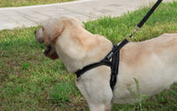HKM-076563 Nylon Dog Chest Strap for Adjustable Fit - Multiple Sizes Available