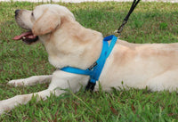 HKM-076563 Nylon Dog Chest Strap for Adjustable Fit - Multiple Sizes Available