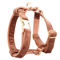 HKM-140947 Soft Velvet Fabric Dog Collar Set with Leash, Bow, Flower, Vest, and Poop Bag - Scalable Sizes XS to XL