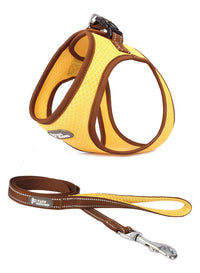HKM-499091 Pet Chest Harness for Cats and Dogs - Adjustable Leash Set in Powder Blue, Yellow, Dark Blue