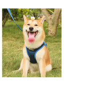 HKM-499091 Pet Chest Harness for Cats and Dogs - Adjustable Leash Set in Powder Blue, Yellow, Dark Blue