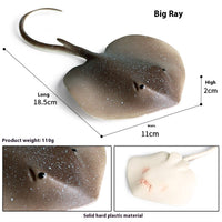 HKM-581715 Realistic Plastic Devil Fish/Ray Fish Marine Animal Model for Educational Play