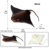 HKM-581715 Realistic Plastic Devil Fish/Ray Fish Marine Animal Model for Educational Play