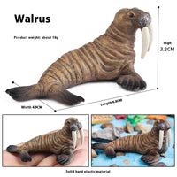 HKM-581715 Realistic Plastic Devil Fish/Ray Fish Marine Animal Model for Educational Play