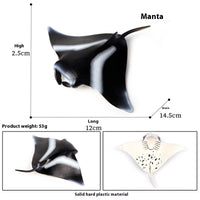 HKM-581715 Realistic Plastic Devil Fish/Ray Fish Marine Animal Model for Educational Play