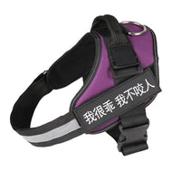 HKM-031443 Nylon Dog Chest Harness - Adjustable Sizes XS to XXL for Comfort and Control