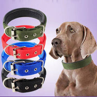 HKM-453331 Durable Nylon Dog Collar for Small to Medium-Sized Dogs in Multiple Sizes: Blue, Black, Red, Green