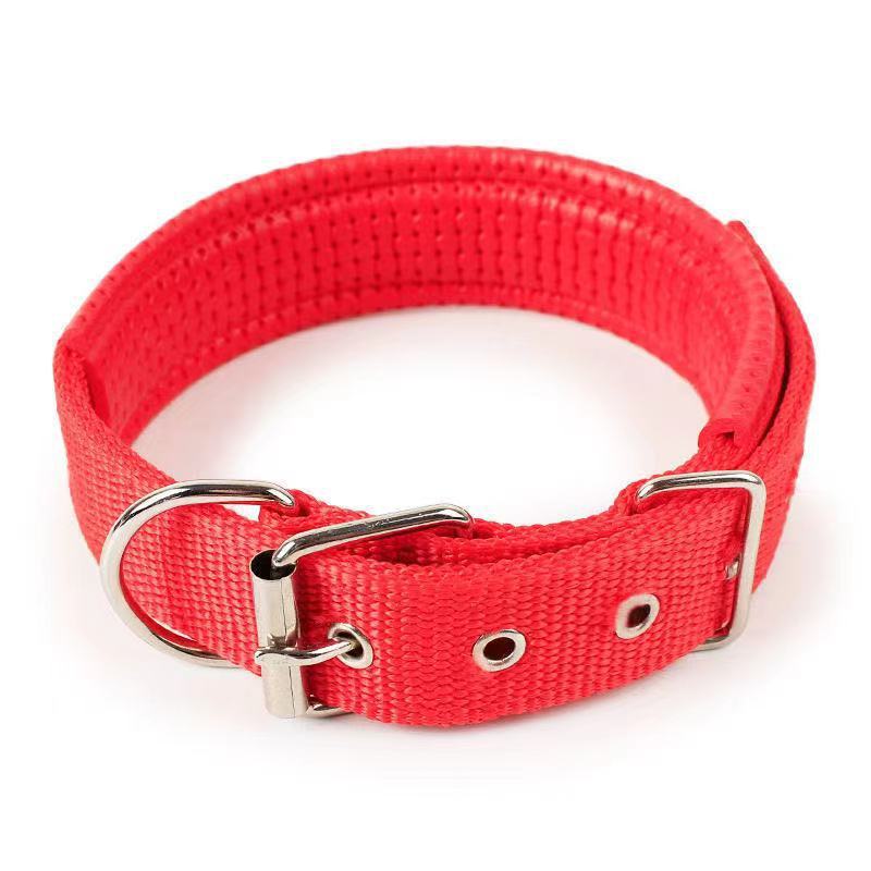 HKM-453331 Durable Nylon Dog Collar for Small to Medium-Sized Dogs in Multiple Sizes: Blue, Black, Red, Green