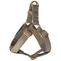 HKM-189523 Gold Buckle Flannel Chest Strap with Bow and Flower for Dogs - Multiple Sizes Available
