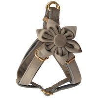 HKM-189523 Gold Buckle Flannel Chest Strap with Bow and Flower for Dogs - Multiple Sizes Available