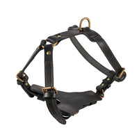HKM-384979 Leather Dog Chest Harness with Automatic Traction Rope for Comfortable Walking