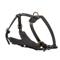 HKM-384979 Leather Dog Chest Harness with Automatic Traction Rope for Comfortable Walking