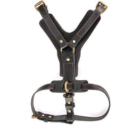 HKM-384979 Leather Dog Chest Harness with Automatic Traction Rope for Comfortable Walking