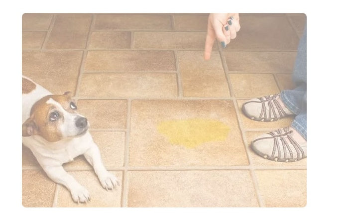 JMT-027722 Washable Dog Diaper Pad for Training, Water-Absorbent, and Waterproof, Available in Multiple Sizes