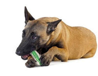 HKM-292755 Dog Chew Toy with Crunchy Sound and Edible Sawdust for Interactive Play