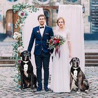 HKM-504211 Formal Dog Tuxedo Suit with Adjustable Bow Tie and Bandana for Weddings and Special Occasions
