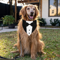 HKM-504211 Formal Dog Tuxedo Suit with Adjustable Bow Tie and Bandana for Weddings and Special Occasions