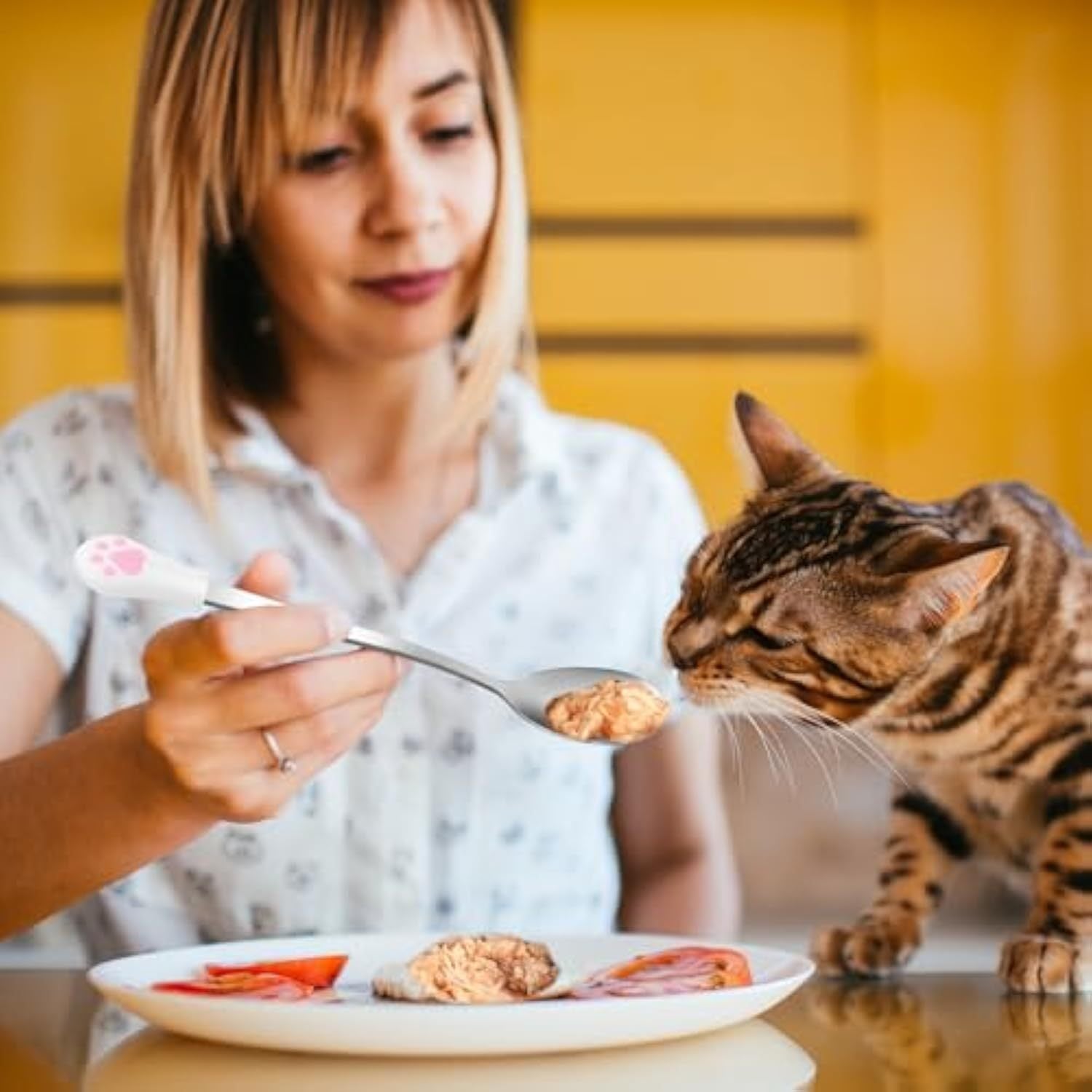 HKM-368659 2-Pack Stainless Steel Pet Spoons with Silicone Grip for Cats and Small Dogs - Designed for Wet or Dry Food