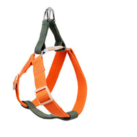 HKM-172563 Durable Nylon and Polyester-Cotton Webbing Leash for Medium and Large Dogs