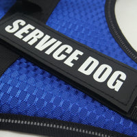 HKM-466323 Personalized Pet Harness for Comfortable and Secure Fit