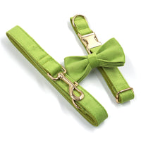 HKM-760915 Matcha Green Velvet Dog Collar with Gold Buckle and Bow, Multiple Sizes Available