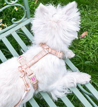 HKM-038035 Fashionable Pet Chest Back and Collar Set with Lattice Design - Available in Plaid Orange and Matcha Green