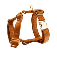 HKM-751187 Velvet Fabric Dog Collar with Accessories - Adjustable Sizes XS to XL, Includes Leash, Bow, Flower, Vest, and Poop Bag