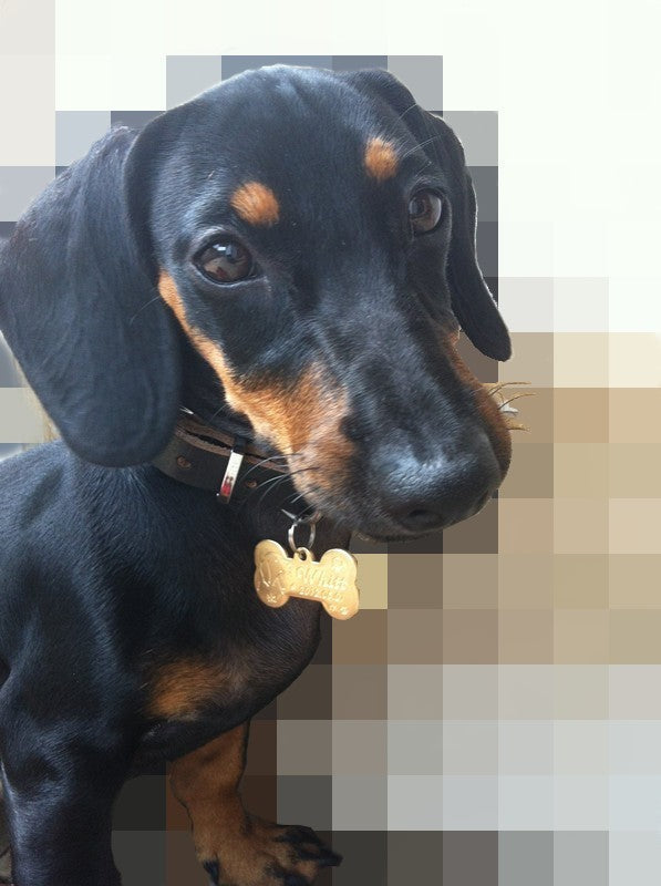 JMT-055242 Customizable Brass Pet Pendant | Bone Shape, Small & Large Sizes Available