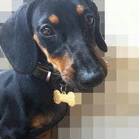 HKM-565139 Customizable Brass Pet Pendant | Bone Shape, Small & Large Sizes Available
