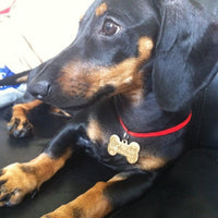 HKM-565139 Customizable Brass Pet Pendant | Bone Shape, Small & Large Sizes Available