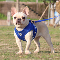 HKM-156755 Reflective and Breathable Polyester Pet Chest Strap for Comfortable Outdoor Adventures
