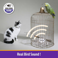 HKM-988947 Rechargeable Automatic Cat Toy - Interactive Owl with Catnip, Flapping Wings & Melodic Sounds for Indoor Play