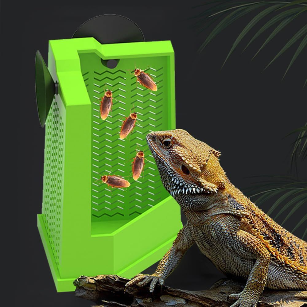 JMT-060042 Wall-Mounted Bearded Dragon Feeder with Suction Cups - Corner Reptile Feeding Dish for Lizards, Iguanas, and Geckos