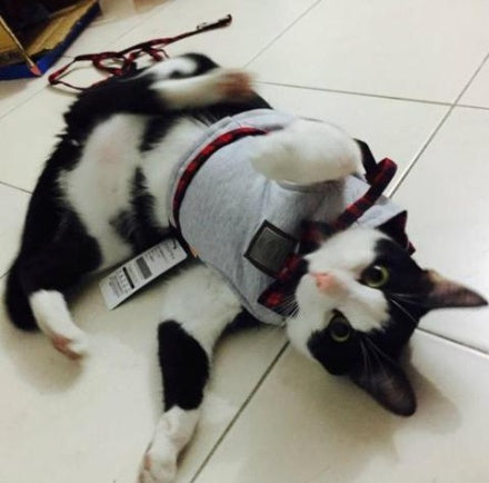 HKM-352211 Kitty Cat Harness with Leash - Comfortable Knitted Fabric & Cotton Cloth - Multiple Sizes Available